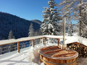 Gîte du Mont d'Air 4 étoiles, au cœur du massif vosgien, bain nordique